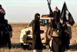 فرمانده نروژی: کرونا عامل افزایش حملات داعش در عراق است