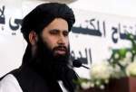 طالبان به مناسب عید فطر سه روز آتش‌بس اعلام کرد