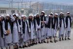 آزادی 250 زندانی طالبان در افغانستان