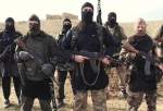 کشته شدن پنج غیرنظامی در حمله داعش به صلاح الدین عراق