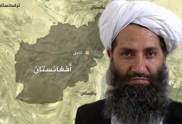 طالبان به مناسبت عید قربان سه روز آتش بس اعلام کرد