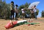 شبان فلسطينيون يستأنفون اطلاق البالونات الحارقة والمتفجرة تجاه المستوطنات الإسرائيلية المحيطة بقطاع غزة  