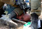 Israeli troops use "knee on neck" method to detain Palestinian elderly (photo)  