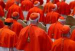 Pope Francis appoints over a dozen cardinals warns them of corruption