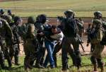 بیش از ۴۰۰ فلسطینی در ماه نوامبر بازداشت شده اند