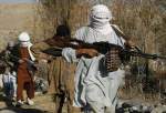 کشته شدن ۷۰ عضو طالبان در قندهار افغانستان