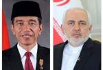 دیدار و گفتگوی ظریف با رییس‌جمهوری اندونزی