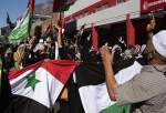 Manifestation au Cap en solidarité avec les Palestiniens