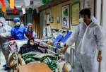رشد چشمگیر مراجعات بیماران کرونایی به بیمارستانها