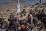 کشته و زخمی شدن 50 نیروی طالبان در حملات نیروی هوایی افغانستان