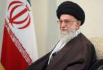 Leader stresses Basij capabilities to resolve issues