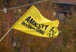 Israel Accuses Amnesty International of Inciting Anti-Semitism for Labelling It 