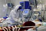 جان باختن 236 بیمار مبتلا به کرونا در شبانه روز گذشته