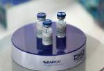 صدور مجوز تست انسانی نخستین واکسن ایرانی علیه اومیکرون