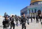 یورش شهرک نشینان و نظامیان صهیونیست به مسجدالاقصی/چهار فلسطینی بازداشت شدند