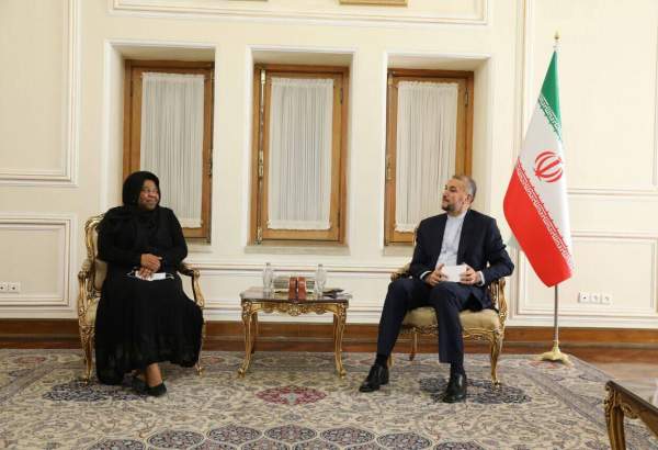 Iran eyeing on developing ties with African states