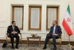 معاون وزیر خارجه تاجیکستان با امیرعبداللهیان دیدار و گفتگو کرد