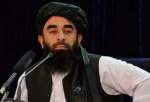 طالبان هرنوع رابطه با گروه القاعده را رد کرد