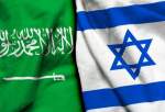وزیر خارجه رژیم صهیونیستی: عادی‌سازی روابط با عربستان سعودی محتمل است