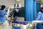 فوت یک نفر بر اثر کرونا در کشور/ شناسایی ۱۵۶ بیمار جدید کرونایی