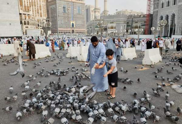 Hajj pilgrims feed pigeons at Great Mosque of Mecca (photo)  