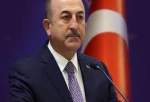 Ankara not to support anti-Iran sanctions, Turkish FM says
