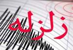 افغانستان کے صوبہ بدخشاں میں 4.8 شدت کے زلزلے کے جھٹکے محسوس کیے گئے
