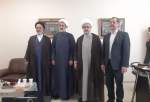 Senior cleric visits major Islamic center in Moscow