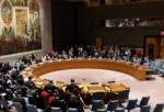 تمدید کمک‌های بشردوستانه به سوریه در شورای امنیت تصویب شد