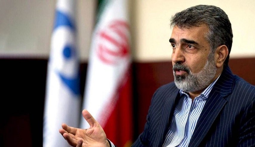 كمالوندي: طهران لن تقبل المطالب المفرطة لوكالة الطاقة