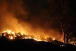 آتش‌سوزی مهیب در کالیفرنیا به دلیل موج گرما  