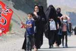 برگزاری پیاده‌روی جاماندگان اربعین در ۵۰ نقطه استان اردبیل