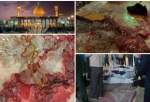 شیراز میں حضرت شاہ چراغ (ع) کے مزار پر مسلح شخص کا زائرین پر حملہ