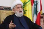 معاون دبیرکل حزب الله لبنان سه دستاورد راهبردی مقاومت را تشریح کرد