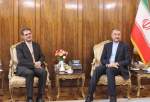 دیدار استاندار کردستان با وزیر امور خارجه/ تأکید بر توسعه مناسبات اقتصادی با کشور همسایه