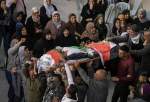 اعدام میدانی ۲۲۳ فلسطینی توسط صهیونیستها