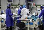 شناسایی ۱۰۶ بیمار جدید کووید۱۹ در کشور