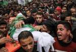 شهادت 77 فلسطینی در کرانه باختری از ابتدای سال 2023