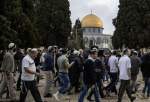 Syria condemns Israeli settlers over defiling al-Aqsa Mosque