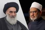 Al-Azhar mufti to visit top Shia jurist in Najaf