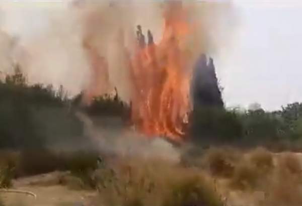 وقوع آتش سوزی در نزدیکی شهر تل آویو +فیلم