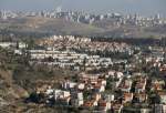 حماس: شهرک سازی در الجلیل در راستای یهودی‌سازی کل فلسطین است