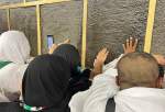 Hajj pilgrims pray in al-Haram Mosque (photo)  <img src="/images/picture_icon.png" width="13" height="13" border="0" align="top">