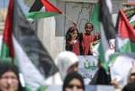 درخواست اسلام‌شناس کویتی از مسلمانان آفریقا برای حمایت از مردم فلسطین
