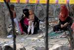 هند 74 پناهجوی مسلمان روهینگیا را دستگیر کرد