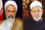 “Confronting Qur’an desecration should unite Muslims”, Al Azhar mufti
