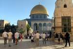 تعرض شهرک‌نشینان صهیونیست به مسجدالاقصی و آرامگاه حضرت یوسف (ع) در نابلس  