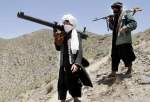 فرمانده مهم طالبان پاکستان در افغانستان کشته شد