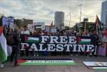 Worldwide demos voice solidarity with Palestinians under Israeli onslaught