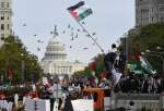Pro-Palestine rally held in New York, Washington (photo)  
